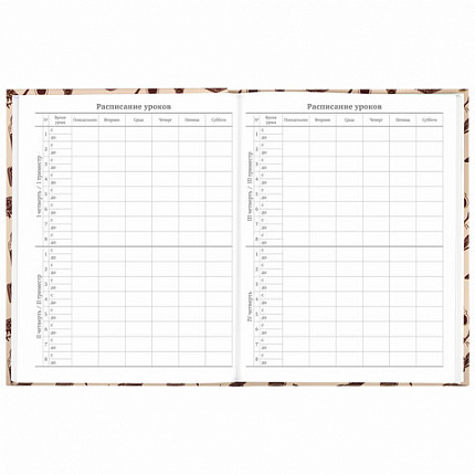 Дневник 5-11 класс 48 л., твердый, BRAUBERG, выборочный лак, с подсказом, "Магия", 106885