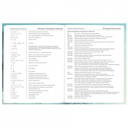 Дневник 5-11 класс 48 л., твердый, BRAUBERG, глянцевая ламинация, с подсказом, "Космический корабль", 107189