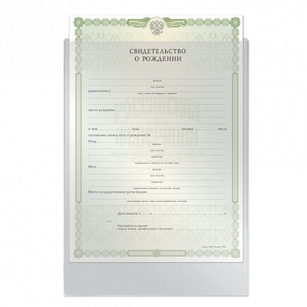 Папка-файл для свидетельства о рождении, 190х263 мм, без отверстий, ПВХ 120 мкм, "ДПС", 1746