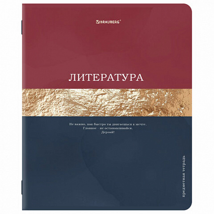 Тетради предметные, КОМПЛЕКТ 12 ПРЕДМЕТОВ, 48 л., матовая ламинация, фольга, BRAUBERG "GOLDY", 405178