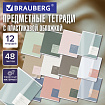 Тетради предметные, КОМПЛЕКТ 12 ПРЕДМЕТОВ 48 л., пластиковая обложка, BRAUBERG "MonoPastel", 405540