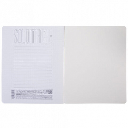 Тетрадь А5 48л. HATBER скоба, клетка, Soft-touch ламинация, SoloMatte_Эвкалиптовый ме, 48Т5лВ1