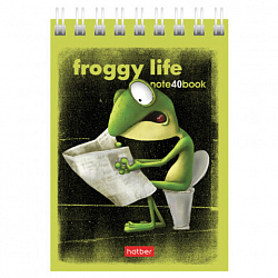 Блокнот МАЛЫЙ ФОРМАТ А7, 40 л., гребень, картон, клетка, HATBER, "Лягух Кир", 081184, 40Б7В1гр