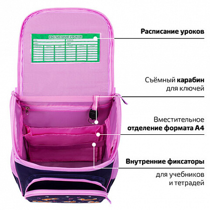 Ранец ПИФАГОР BASIC, 1 отделение, 3 кармана, эргономичная спинка, "Playing foxes", 35х28х18 см, 273136