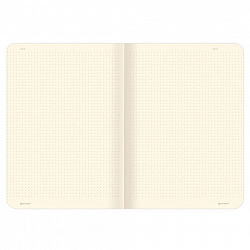 Тетради 60 л. в точку обложка SoftTouch, НАБОР 2 шт., бежевая бумага 70 г/м2, сшивка, B5 (179х250 мм), НОЧЬ, BRAUBERG, 403829