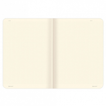 Тетради 60 л. в точку обложка SoftTouch, НАБОР 2 шт., бежевая бумага 70 г/м2, сшивка, B5 (179х250 мм), НОЧЬ, BRAUBERG, 403829