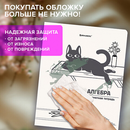 Тетради предметные, КОМПЛЕКТ 12 ПРЕДМЕТОВ 48л, пластиковая обложка, BRAUBERG "КОТ-НЕПОСЕДА", 405542