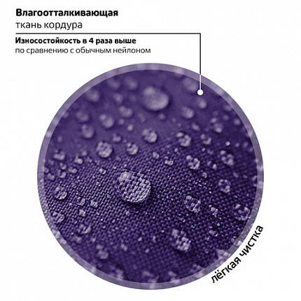 Ранец BRAUBERG PREMIUM, 2 отделения, с брелоком, "Paw prints", велюровая панель, 38х29х16 см, 273098