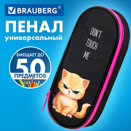 Пенал-футляр BRAUBERG, 1 отделение, органайзер, полиэстер, 22x9х5 см, "Angry kitty", 273566