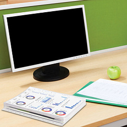 Папки-файлы перфорированные БОЛЬШОЙ ВМЕСТИМОСТИ до 250 л., А4, КОМПЛЕКТ 10 шт., 180 мкм, BRAUBERG, 226833