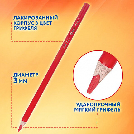 Карандаши цветные пластиковые, BRAUBERG PREMIUM 12 цветов + 1 чернографитный карандаш, трехгранный корпус, грифель 3 мм, 181936