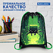 Мешок для обуви BRAUBERG PREMIUM, карман, подкладка, светоотражайка, 43х33 см, "Digital spider", 273444