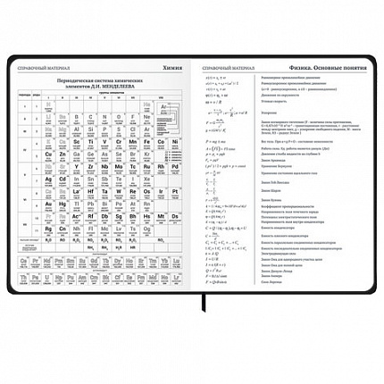 Дневник 1-11 класс 48 л., твердый, BRAUBERG, матовая ламинация, резинка, закладка-ляссе, с подсказом, "Дракон", 107240