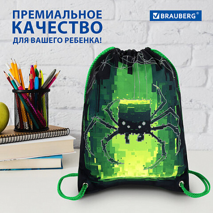 Мешок для обуви BRAUBERG PREMIUM, карман, подкладка, светоотражайка, 43х33 см, "Digital spider", 273444