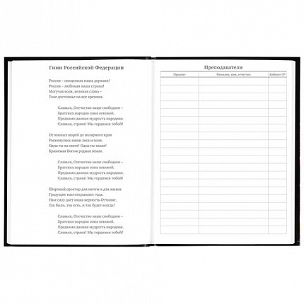 Дневник 5-11 класс 48 л., гибкая обложка, BRAUBERG, глянцевая ламинация, с подсказом, "Гепард", 106862