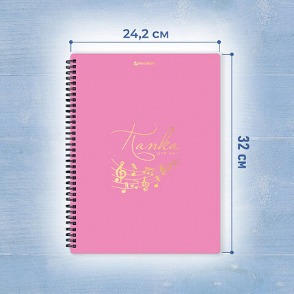 Папка тетрадь для нот А4, 20 вкладышей на 40 страниц, на гребне, пластик, РОЗОВАЯ, BRAUBERG, 404642