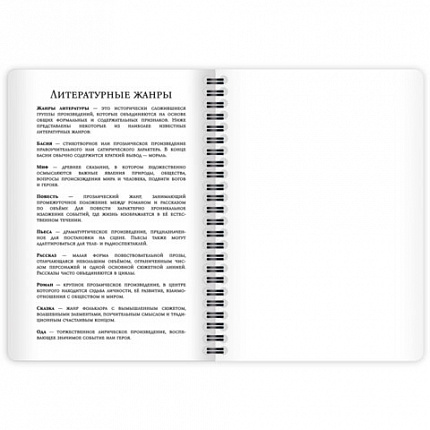 Дневник читательский А5 58 листов, гребень, пластиковая обложка, картон, BRAUBERG, "МИКС", 118528