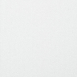 Картон белый А4 МЕЛОВАННЫЙ (белый оборот), 10 листов, в папке, BRAUBERG KIDS, 200х283, 115161