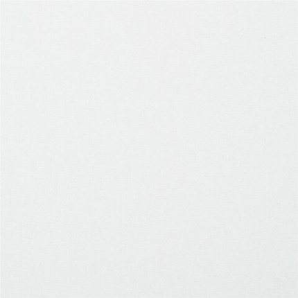 Картон белый А4 МЕЛОВАННЫЙ (белый оборот), 10 листов, в папке, BRAUBERG KIDS, 200х283, 115161