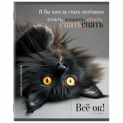 Тетрадь А5, 48 л., STAFF, скоба, клетка, офсет №2 ЭКОНОМ, обложка картон, КОТЫ_АССОРТИ, 405627