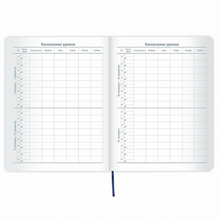 Дневник 1-11 класс 48 л., кожзам (гибкая), термотиснение, фольга, BRAUBERG, "МЕДВЕДЬ", 105969