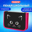 Пенал ПИФАГОР, 1 отделение, ламинированный картон, 19х11 см, "Dark kitten", 273467