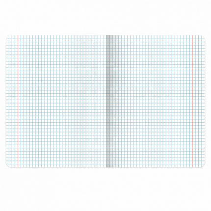 Тетради предметные, КОМПЛЕКТ 12 ПРЕДМЕТОВ, 48 л., обложка картон, BRAUBERG "CREATIVE", 405166