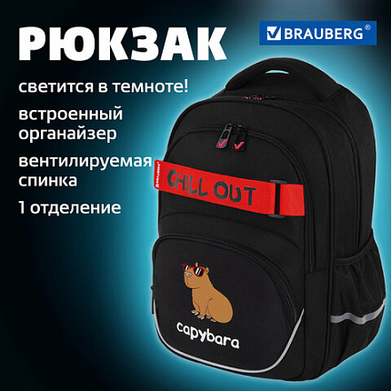 Рюкзак BRAUBERG MOTION, 2 отделения, 3 кармана, "Капибара", СВЕТЯЩИЙСЯ, 41х28х17 см, 272032