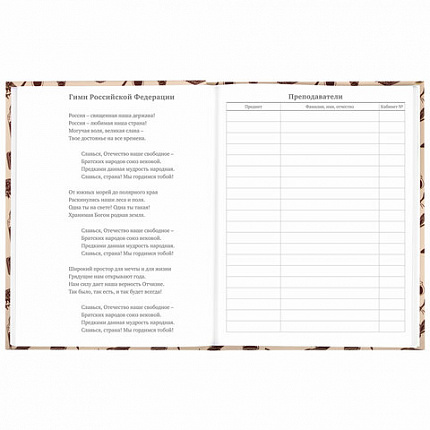 Дневник 5-11 класс 48 л., твердый, BRAUBERG, выборочный лак, с подсказом, "Магия", 106885