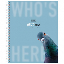 Тетрадь А5 48 л. HATBER гребень, клетка, Soft-touch ламинация, "Кто здесь?" (микс в спайке), 093578, 48Т5лВ1гр