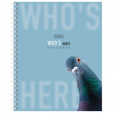 Тетрадь А5 48 л. HATBER гребень, клетка, Soft-touch ламинация, "Кто здесь?" (микс в спайке), 48Т5лВ1гр