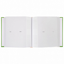 Фотоальбом BRAUBERG "Лайм" на 200 фото 10х15 см, ткань, зеленый, 391189