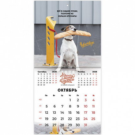Календарь настенный перекидной 2026 г., BRAUBERG, 12 листов, 21,4х21,4 см, МИНИ, "Не падай духом", 116942