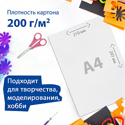 Картон белый А4 МЕЛОВАННЫЙ (белый оборот), 50 листов, в коробке, BRAUBERG, 210х297 мм, 113563
