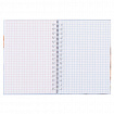 Блокнот МАЛЫЙ ФОРМАТ А6, 80 л., гребень, твердый картон, клетка 2 цв., HATBER, "Носики-курносики", 082842, 80ЗКтд6В1гр_301