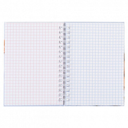 Блокнот МАЛЫЙ ФОРМАТ А6, 80 л., гребень, твердый картон, клетка 2 цв., HATBER, "Носики-курносики", 082842, 80ЗКтд6В1гр_301