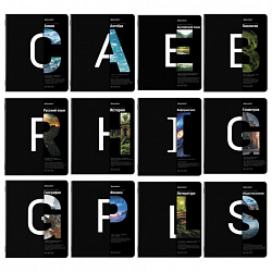 Тетради предметные, КОМПЛЕКТ 12 ПРЕДМЕТОВ, 48 л., матовая ламинация, BRAUBERG, "INTELLIGENCE", 404845