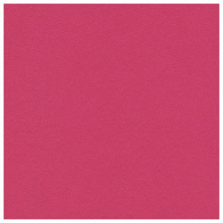 Картон цветной А4 немелованный (матовый), ВОЛШЕБНЫЙ, 10 листов 10 цветов, в папке, ПИФАГОР, 200х290 мм, "Лисенок", 129912