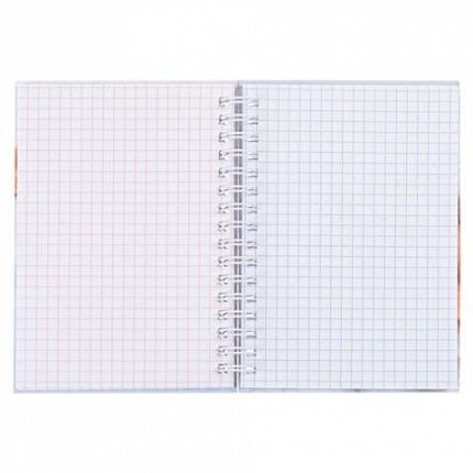 Блокнот МАЛЫЙ ФОРМАТ А6, 80 л., гребень, твердый картон, клетка 2 цв., HATBER, "Носики-курносики", 082842, 80ЗКтд6В1гр_301