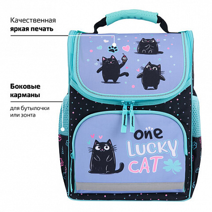 Ранец ПИФАГОР BASIC, 1 отделение, 3 кармана, эргономичная спинка, "Funny cats", 35х28х18 см, 273135