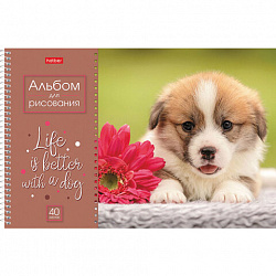 Альбом для рисования А4 40 л., спираль, обложка картон, HATBER, 205х290 мм, "Doggie-Щенки" (4 вида), 067478, 40А4Всп