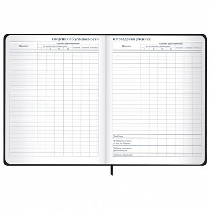 Дневник 1-11 класс 48 л., твердый, BRAUBERG, матовая ламинация, резинка, закладка-ляссе, с подсказом, "Дракон", 107240