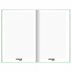 Блокнот А5 (134х206 мм), 80 л., твёрдый, клетка, BRAUBERG KIDS, "Пингвинчики", 114420