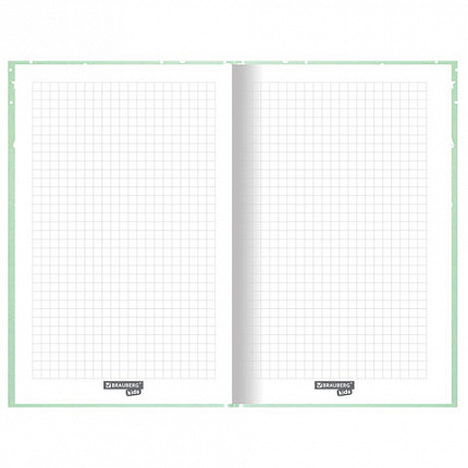 Блокнот А5 (134х206 мм), 80 л., твёрдый, клетка, BRAUBERG KIDS, "Пингвинчики", 114420