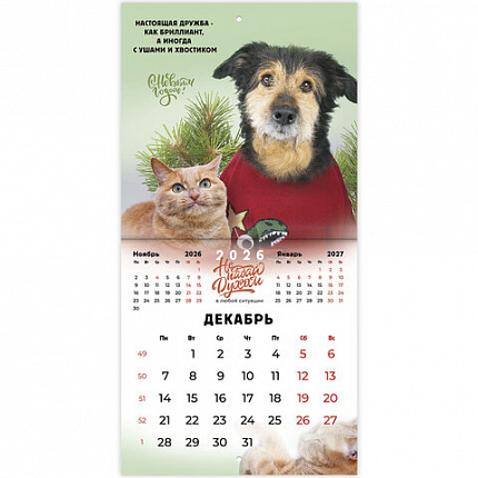 Календарь настенный перекидной 2026 г., BRAUBERG, 12 листов, 21,4х21,4 см, МИНИ, "Не падай духом", 116942