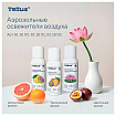 Сменный баллон 100 мл Tellus/TORK (Система АF1) СТАНДАРТ, цитрусовый аромат, 611600