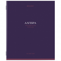 Тетрадь предметная "КОЛОР" 36 л., обложка мелованная бумага, АЛГЕБРА, клетка, BRAUBERG, 405069