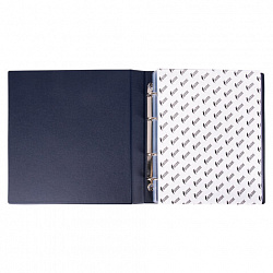 Альбом нумизмата для 380 монет (диаметр до 38 мм) и купюр, 253х238 мм, синий, ОСТРОВ СОКРОВИЩ, 237960