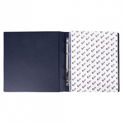 Альбом нумизмата для 380 монет (диаметр до 38 мм) и купюр, 253х238 мм, синий, ОСТРОВ СОКРОВИЩ, 237960