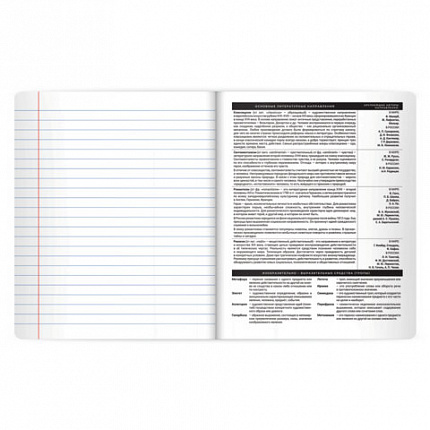 Тетрадь предметная BLACK MODE 48л, пластиковая обложка, ЛИТЕРАТУРА, линия, подсказ, BRAUBERG, 405522